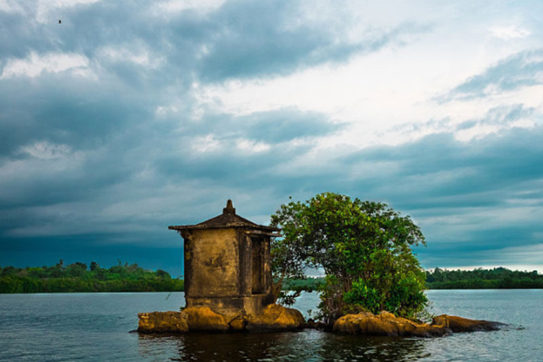 Colombo: Galle, Madu River Day Trip with Turtle Conservation