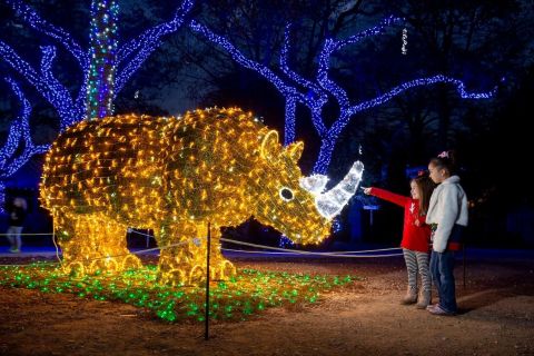 San Antonio Zoo: Any-Day Admission + Zoo Lights Entry Ticket