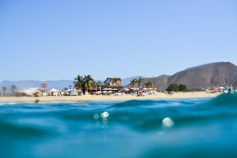 Cerritos Beach - Private Full-Day of Surf Lessons Cerritos Beach: Private Surfing Lessons with Instructors