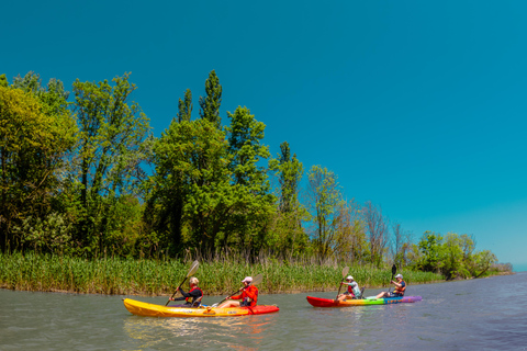 From Varna: Kayaking tour on Kamchia river
