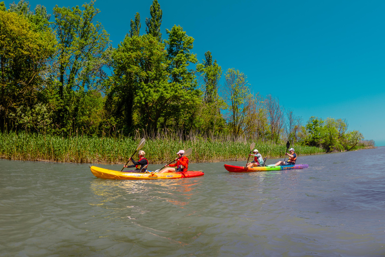 From Varna: Kayaking tour on Kamchia river