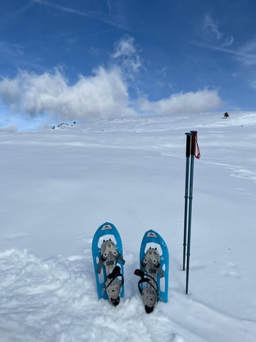 Sarajevo: Snowshoeing on Olympic Mountains Winter Adventure