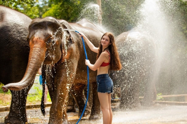 Plage privée avec baignade et soins aux éléphants