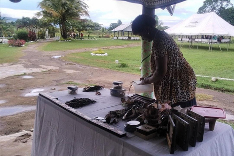 Ogród Śpiącego Olbrzyma z wycieczką do gorących źródeł Tifajek MudpoolHotele w Nadi / Port Denarau / Double Tree / Odbiór z Vuda