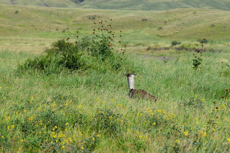 Arusha: Lake Natron Day Trip (Lake Walk &amp; Waterfall Hike)