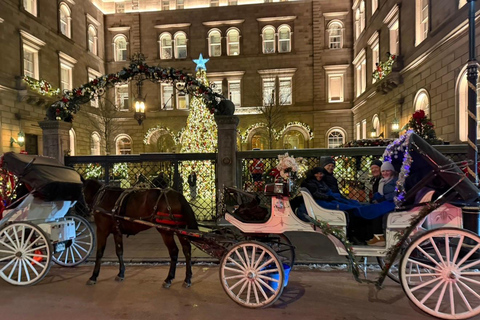 NYC: Central Park Christmas Lights Horse-Drawn Carriage Ride