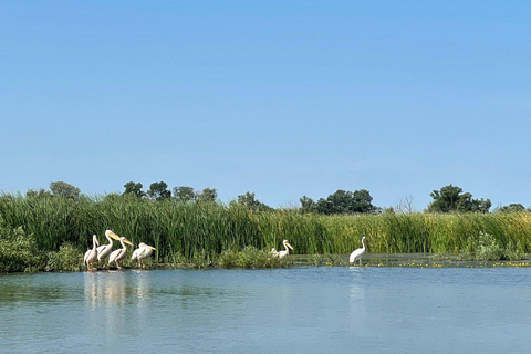 Bucarest: tour del delta del Danubio di 2 giorni con tour in barcaBucarest: tour al delta del Danubio di 2 giorni con tour in barca