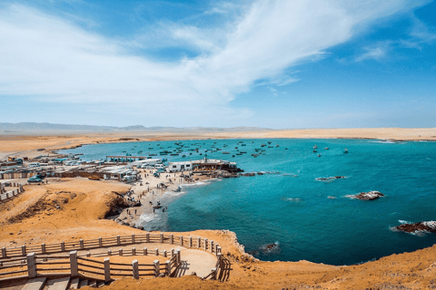 Paracas: Full Day Between Ocean and Desert From Ica: Tambo Colorado and the Hidden Oasis of the Paracas Desert