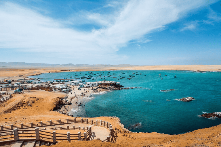 Paracas: Full Day Between Ocean and Desert From Ica: Tambo Colorado and the Hidden Oasis of the Paracas Desert