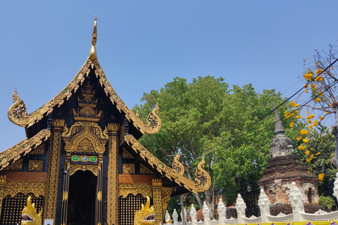 Chiang Mai: Temples & Old City Hidden Gems with local guide Private Tour (with transfer)