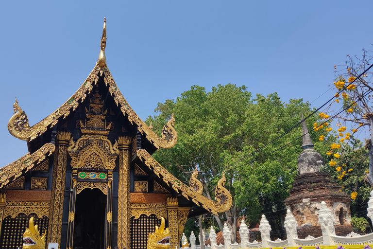 Chiang Mai: Temples & Old City Hidden Gems with local guide Private Tour (with transfer)