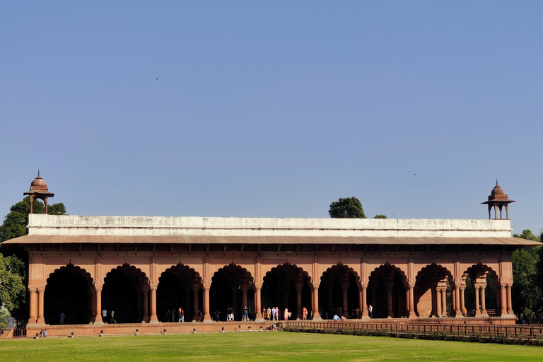 Old Delhi Heritage RundgangSpanischer Tourguide