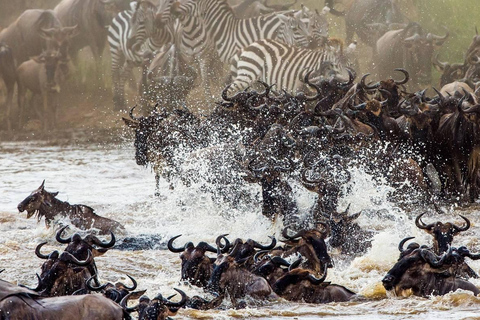 Jednodniowa wycieczka do Parku Narodowego Nakuru i nad jezioro Naivasha