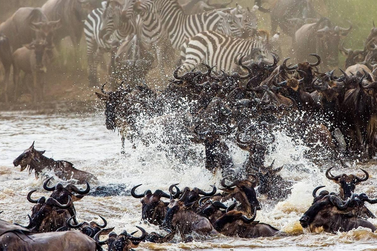 Excursão de um dia ao Parque Nacional Nakuru e ao Lago Naivasha