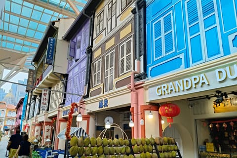 Singapore Complete: 5 Key City Districts with Food & Rides - Image 2