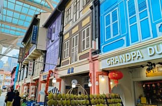 Singapur komplett: 5 wichtige Stadtbezirke mit Speisen und Fahrten