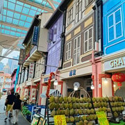 Singapore Complete: 5 Key City Districts with Food & Rides