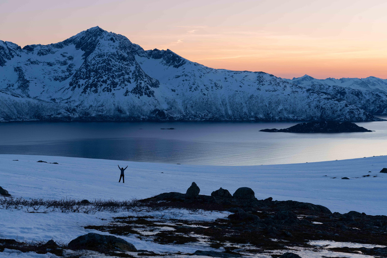 Tromsø : Tour des fjords et des plages avec feu de camp et photos