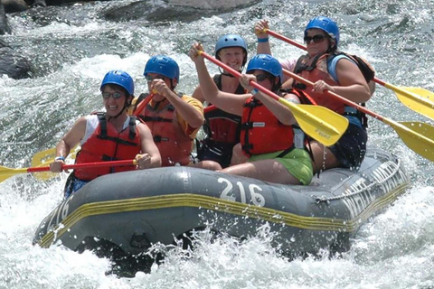 Mambucaba River Rafting with Stunning Forest Scenery Access