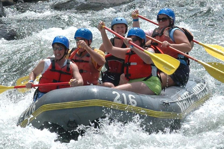 Mambucaba River Rafting with Stunning Forest Scenery Access