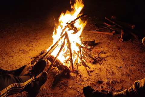 Saloum Delta: 3 days of adventure in the middle of nature, camping on a desert island Saloum Delta: Camping and Adventure