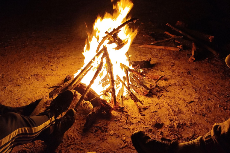 Saloum Delta: 3 days of adventure in the middle of nature, camping on a desert island Saloum Delta: Camping and Adventure