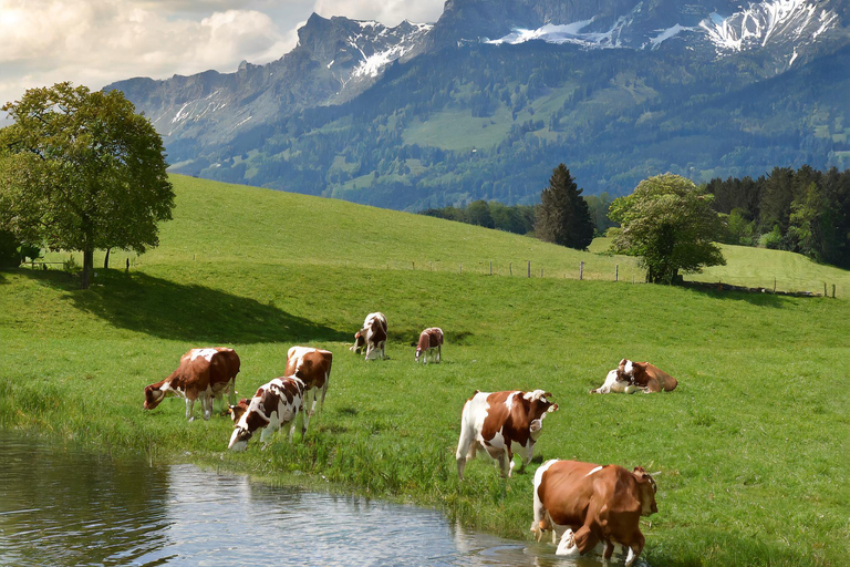 Zürich Private Tour nach Liechtenstein und ins Heidiland