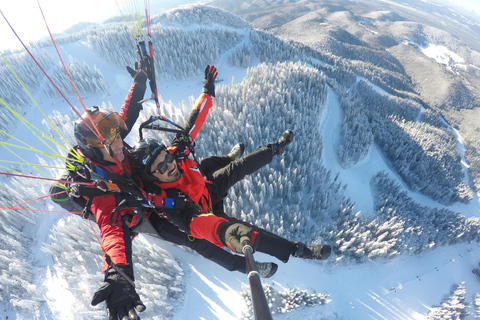 Brașov: Poiana Brașov Tandem Paragliding Flight