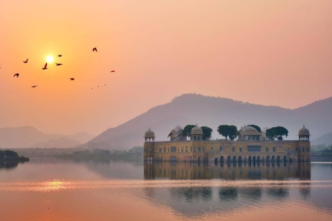 Journée complète de visite de Jaipur avec guideVisite touristique de Jaipur d'une journée entière avec chauffeur uniquement