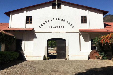 تجربة أنتيغوا غواتيمالا المتميزة + غداء