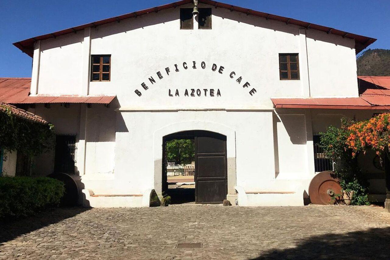 تجربة أنتيغوا غواتيمالا المتميزة + غداء