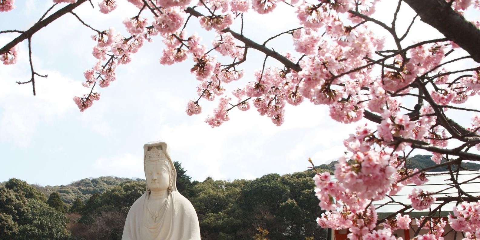 Kyoto experience — temples, geisha, bamboo grove — image 14