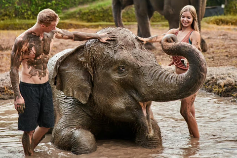 Bali Zoo: Breakfast with Observe Orangutans & Elephant Care Elephant Care & Guided Breakfast with Orangutan (Transfers)
