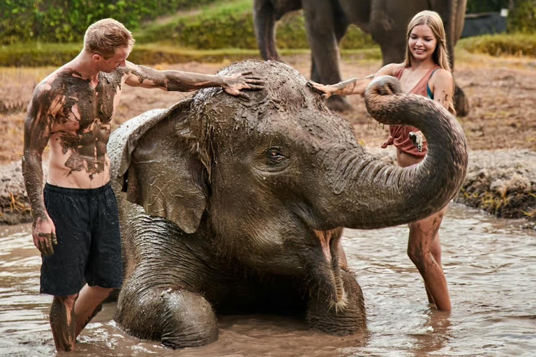 Bali Zoo: Breakfast with Observe Orangutans & Elephant Care Elephant Care & Guided Breakfast with Orangutan (Transfers)