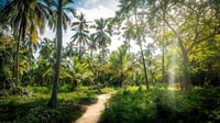 Tayrona Tour-圣胡安角角礁 - Housity