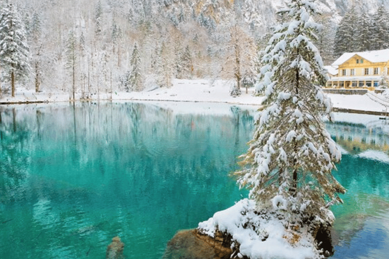 Depuis Zurich : Excursion d&#039;une journée au lac Blausee et au charmant Interlaken