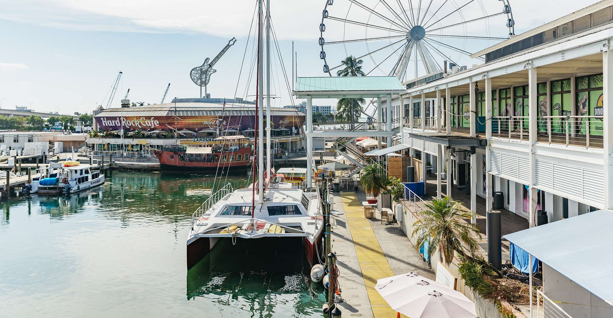 Miami: Sightseeing Speedboat Tour photo 17