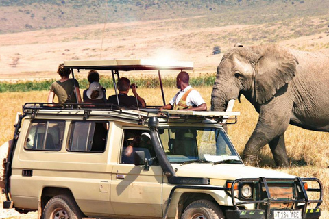 Kenya and Tanzania: 10-Day Classic Safari with Accommodation