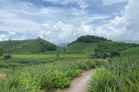 Chiang Rai Trek: 4 Hilltribes Villages & Waterfall Only Walk