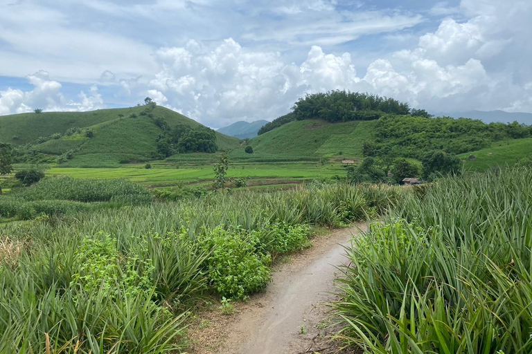 Chiang Rai Trek: 4 Hilltribes Villages & Waterfall Only Walk