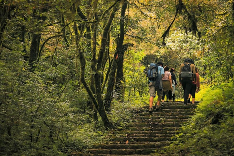 Kathmandu: Jamacho( Nagarjung Danda) Day HikeJamacho Hiking Expedition