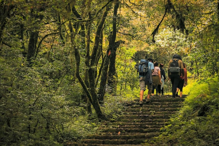 Katmandu: Jamacho( Nagarjung Danda) DagsvandringJamacho vandringsexpedition