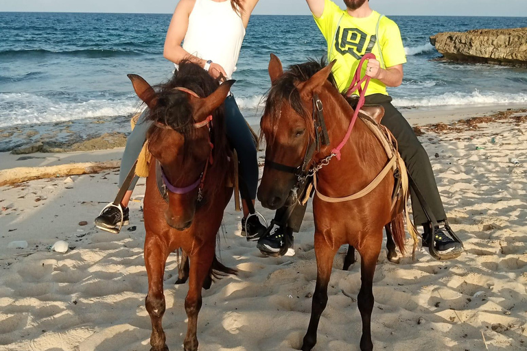 Tour privado a caballo por la playa y el parque nacional de Aruba ArikokPlaya para montar a caballo y Parque Nacional Arikok