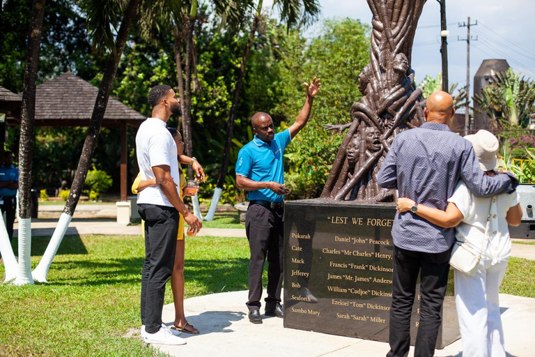 蒙特哥湾/尼格瑞尔阿普尔顿朗姆酒之旅（Appleton Rum Tour）和 YS 瀑布滑索（YS Falls Zipline