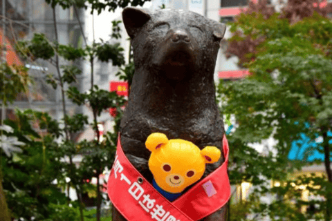 Tokyo : Visite d&#039;une jounée privée de la ville de Tokyo : lieux incontournables