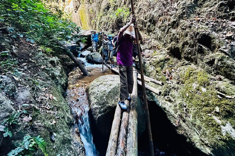 De Chiang Mai: Caminhada em Doi Saket com almoço