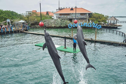 Cartagena: Basic tour of the islands, visit the aquarium and lunch in Baru OPTION BY SEA: Tour the islands, visit the aquarium and have lunch in Baru.