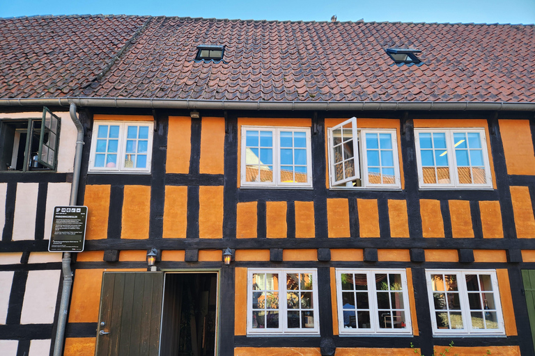 Aarhus Highlights: History, Architecture & Danish Life