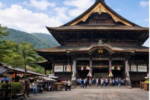 Nagano/Tokyo: Snow Monkey Private Car Tour Hotel Pick & Drop