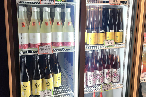12 types of Sake Tasting in Kyoto